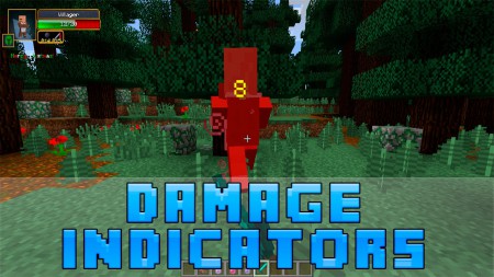 Damage Indicators 1.7.10